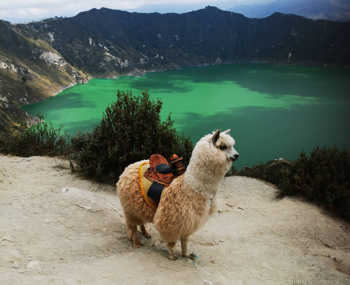 Лагуна Килотоа, авторский  тур по Эквадору