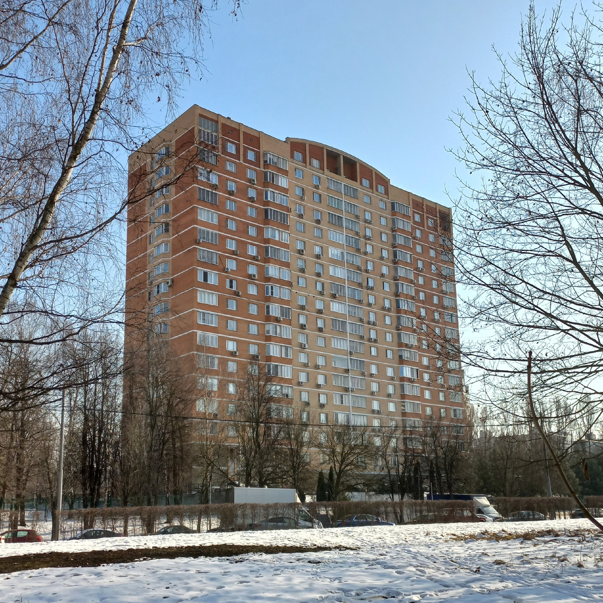 Фото - февраль 2025 года.