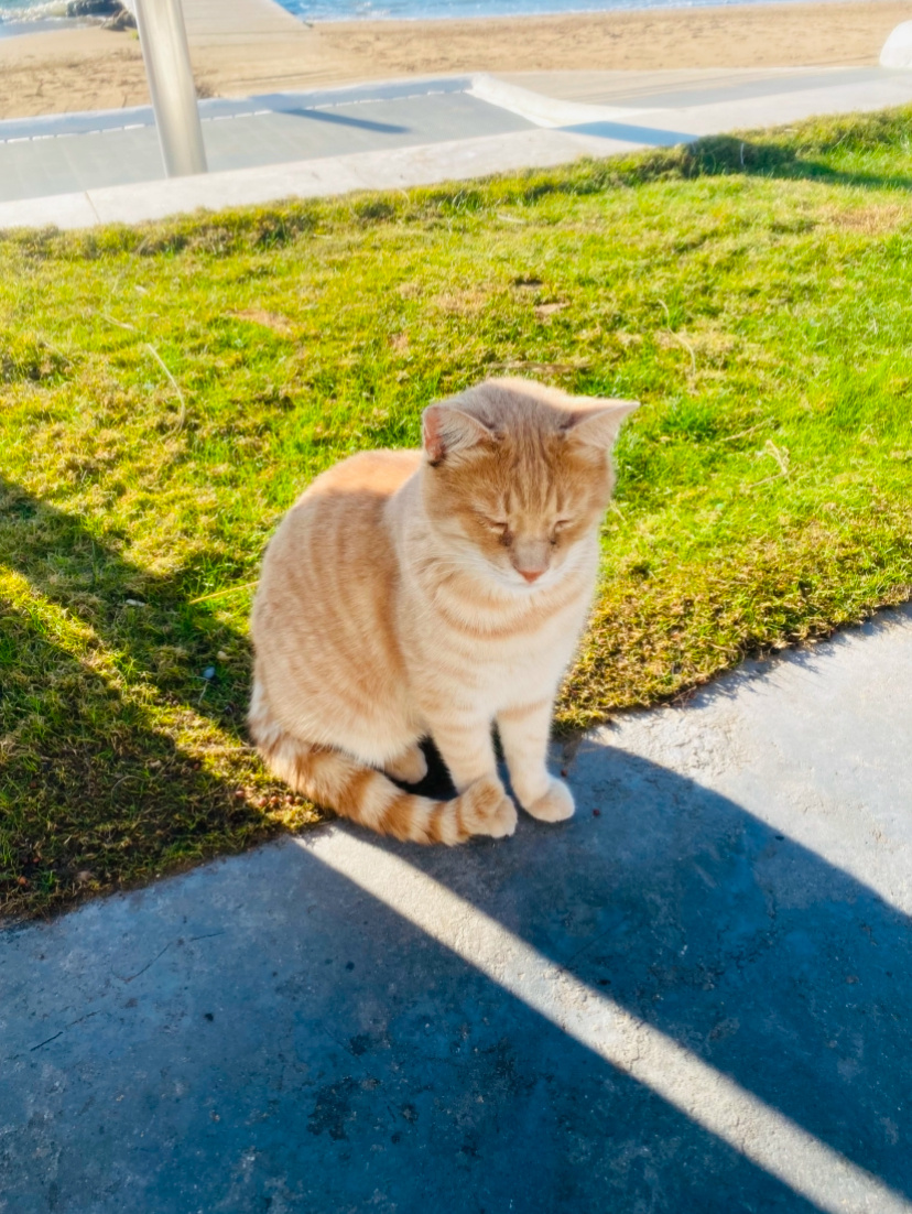 Voyage Sorgun 5* Турция