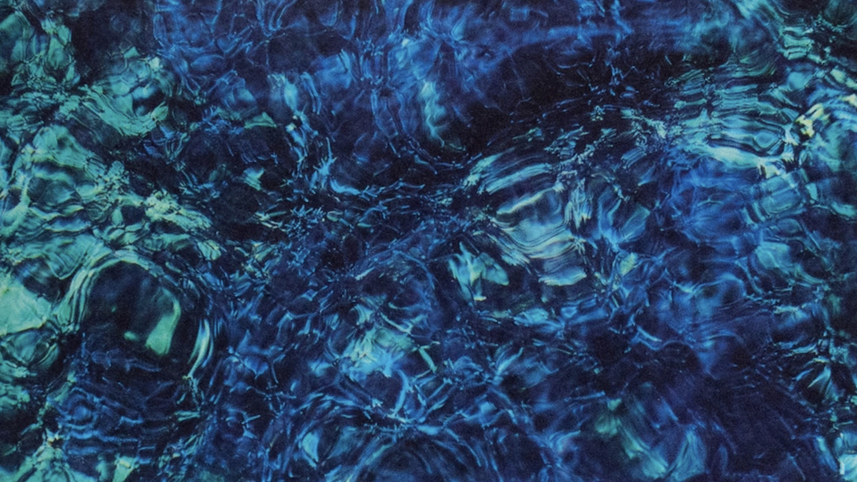 Фрагмент обложки альбома Ichiko Aoba – "Luminescent Creatures"