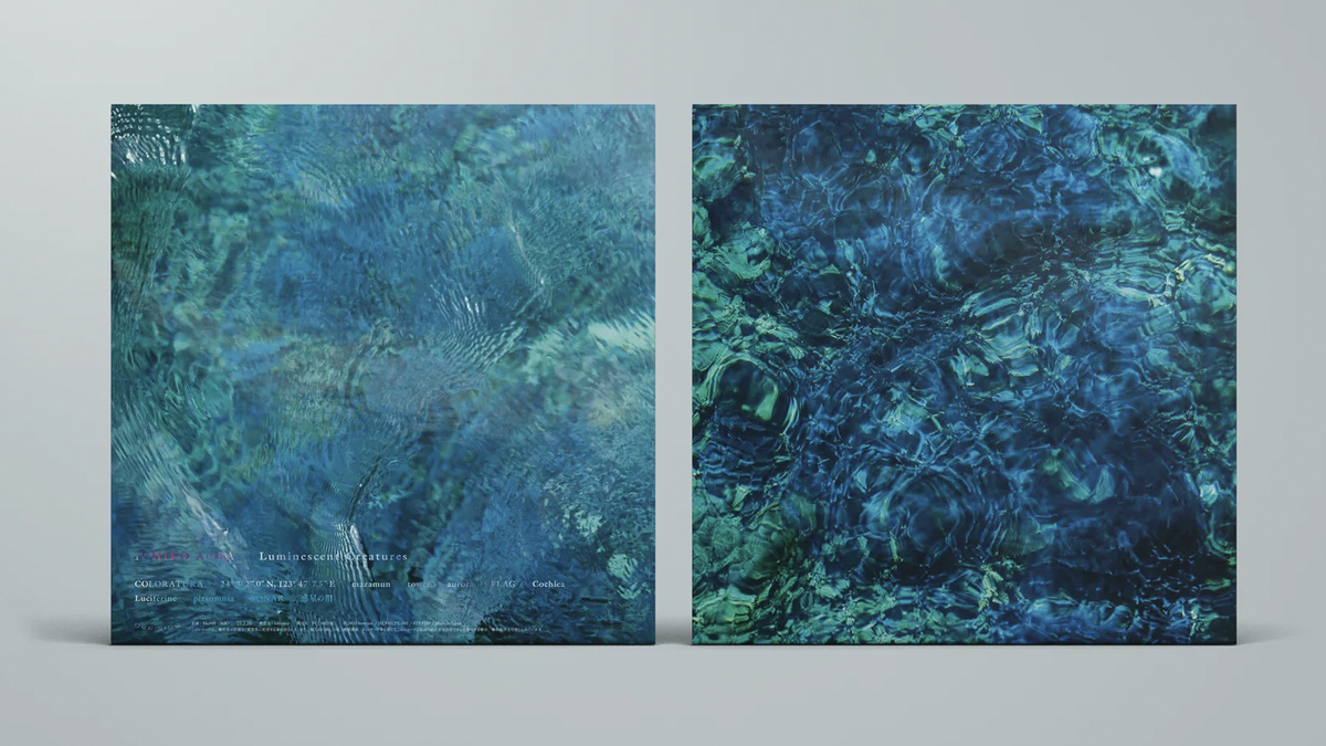 Оформление альбома Ichiko Aoba – "Luminescent Creatures"