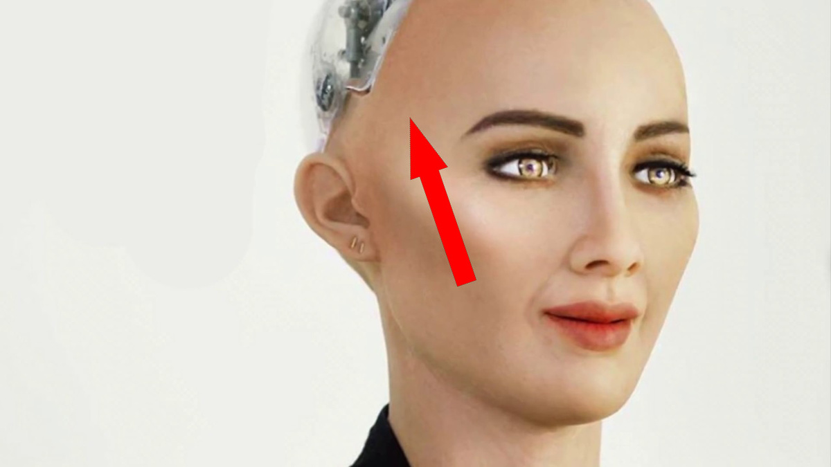    Роботы с гражданством: как это изменит мир