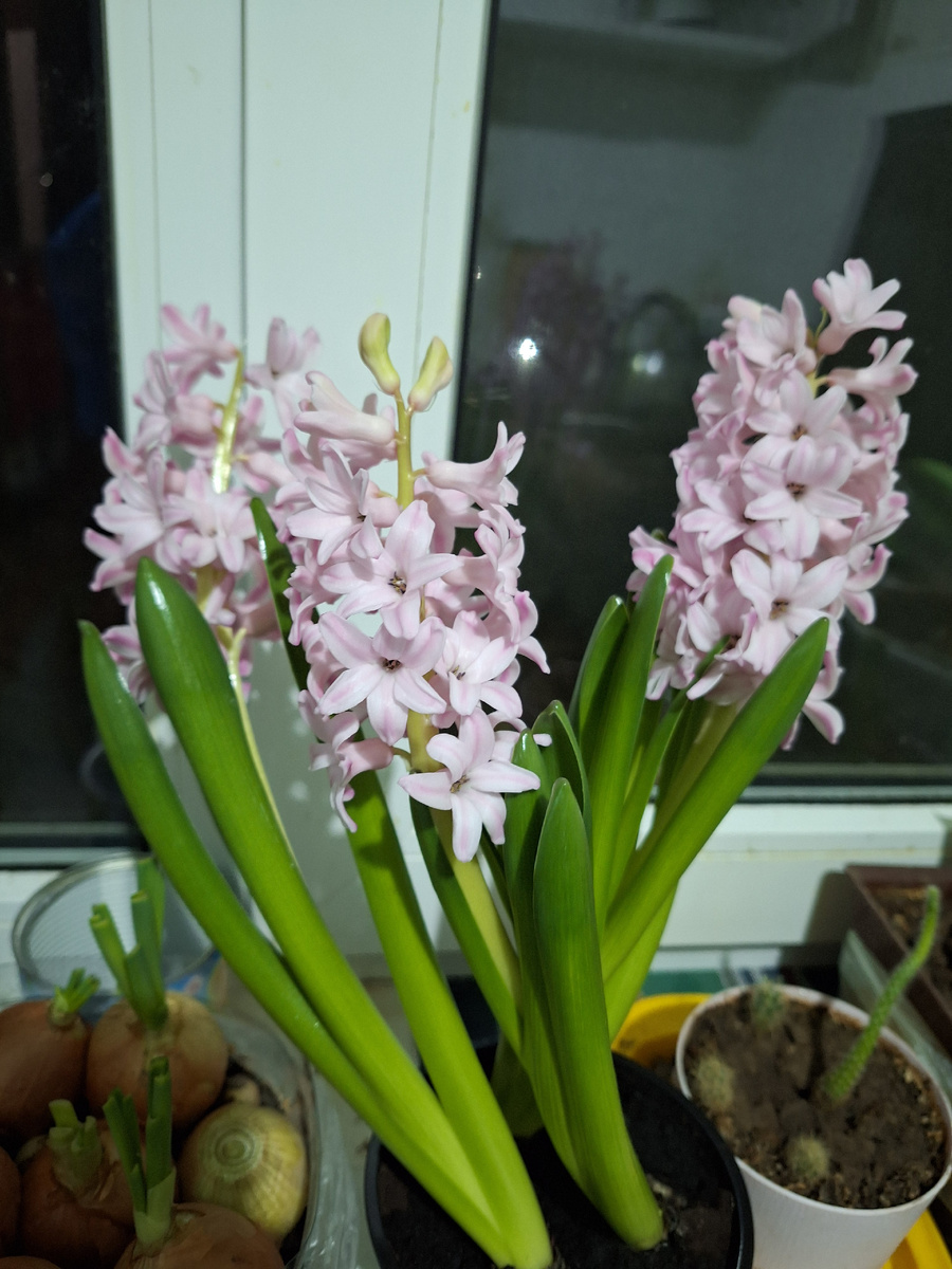 Уже на кухне.