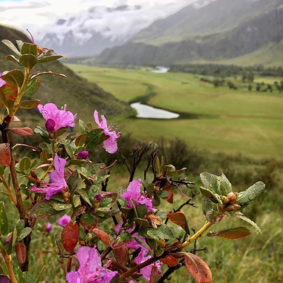 туры на Алтай