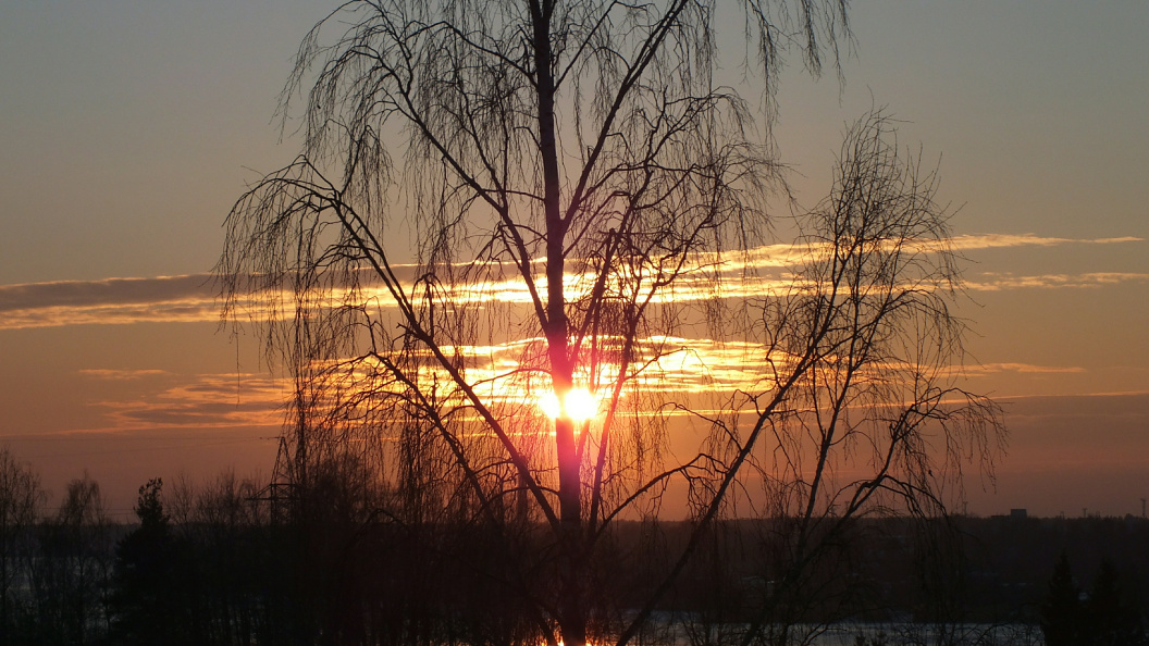    Victor Lisitsyn/Global Look Press