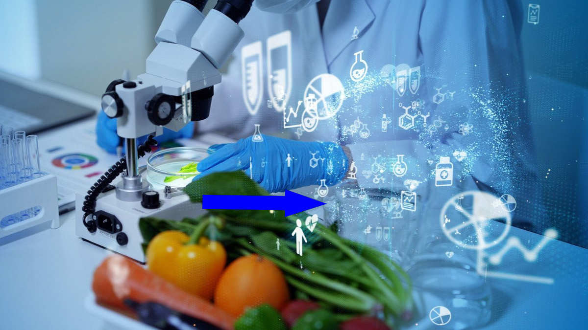    Еда из воздуха: будущее, которое уже на пороге