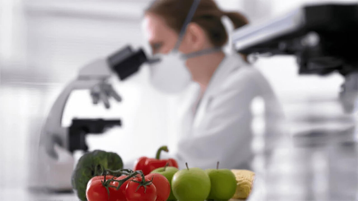    Еда из воздуха: будущее, которое уже на пороге