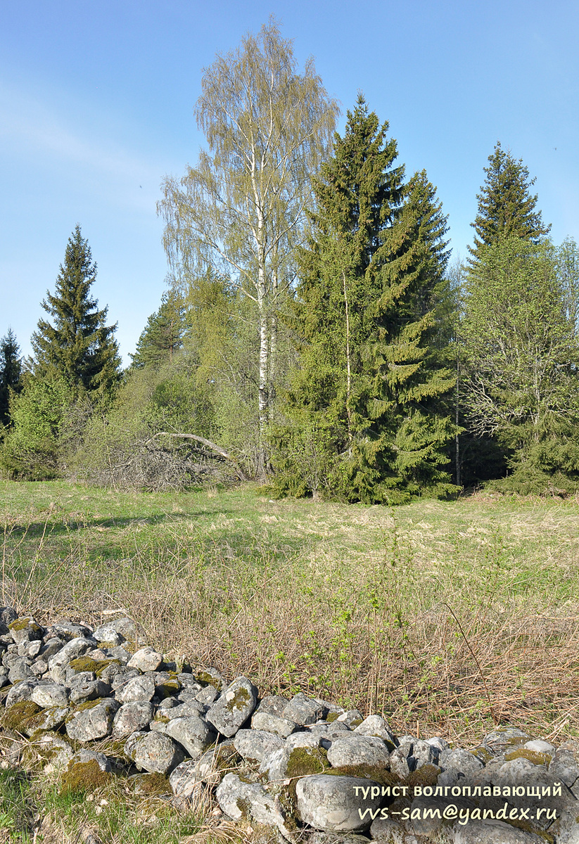 Фото 19.05.2014.