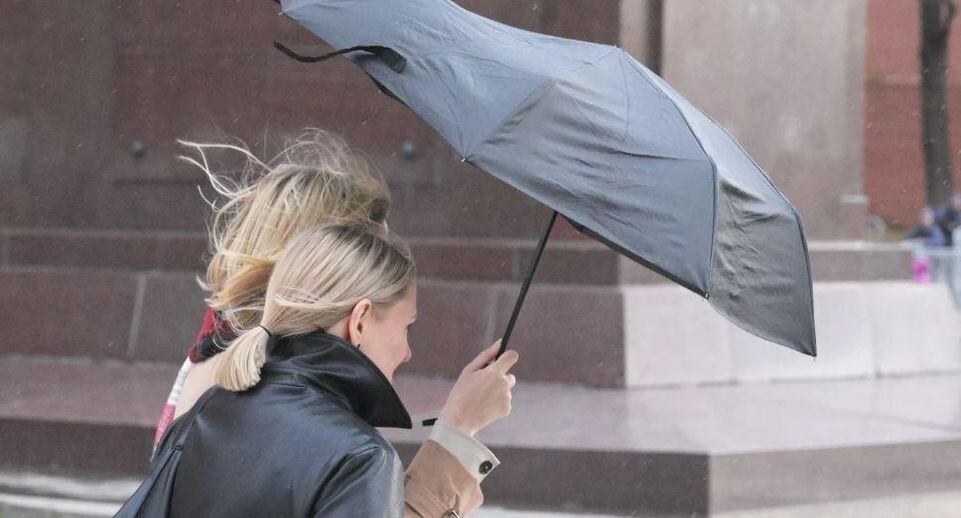    РИА «Новости»