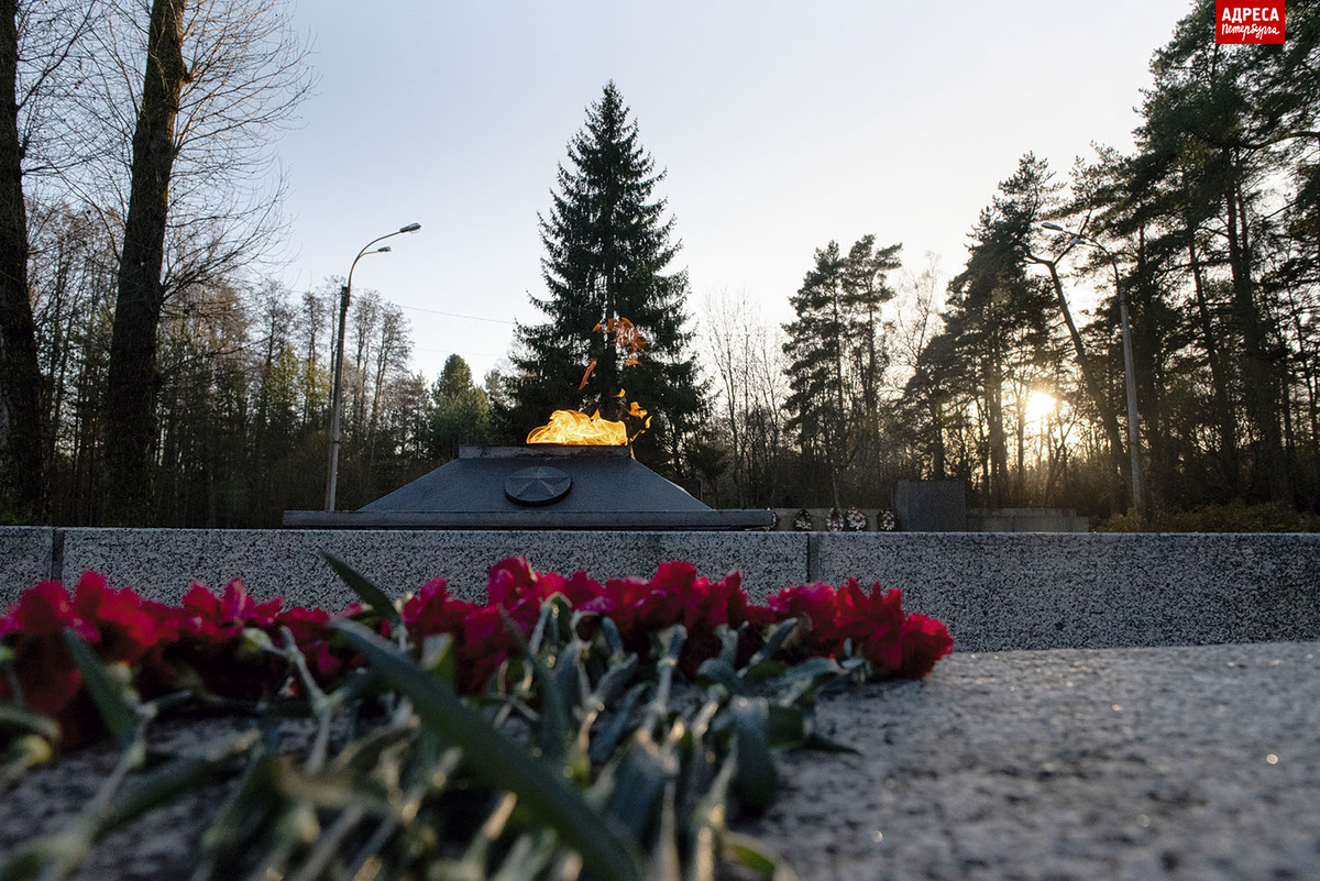 Виды и фрагменты мемориала в Зеленогорске. Фотографии Лолиты Крыловой.