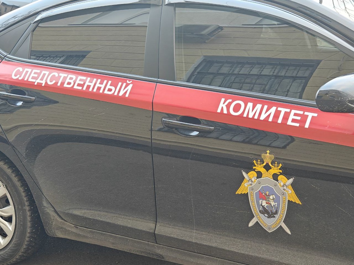    Фото: Юрий Серебренников/BFM Кубань