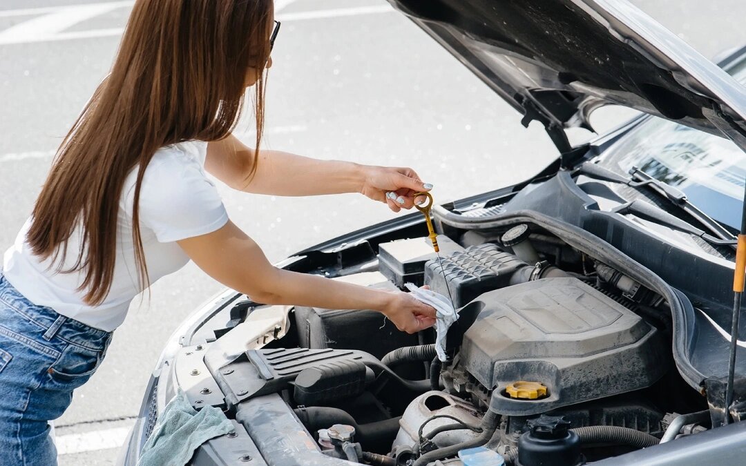 Фото: Andrii Medvednikov / Shutterstock / FOTODOM