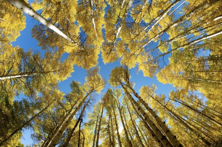    фото: freepik.com/freepik Игорь Бережной