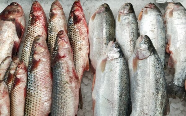    Фото: Екатерина Иванова. UG.RU