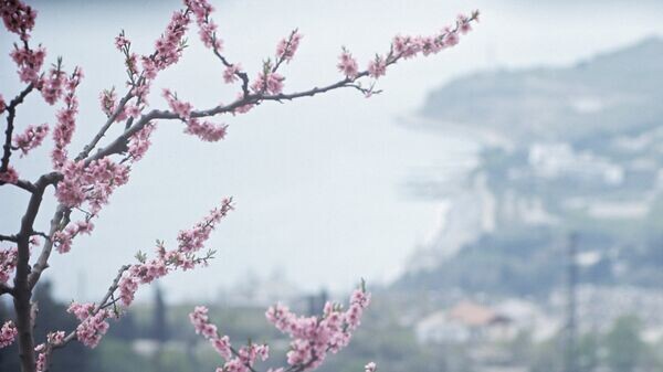    © РИА Новости . А. Гивенталь