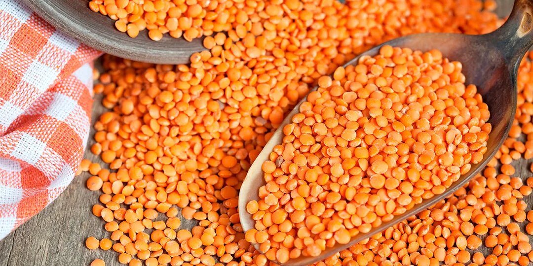 Чечевица: польза и вред для здоровья, как выбирать и хранить