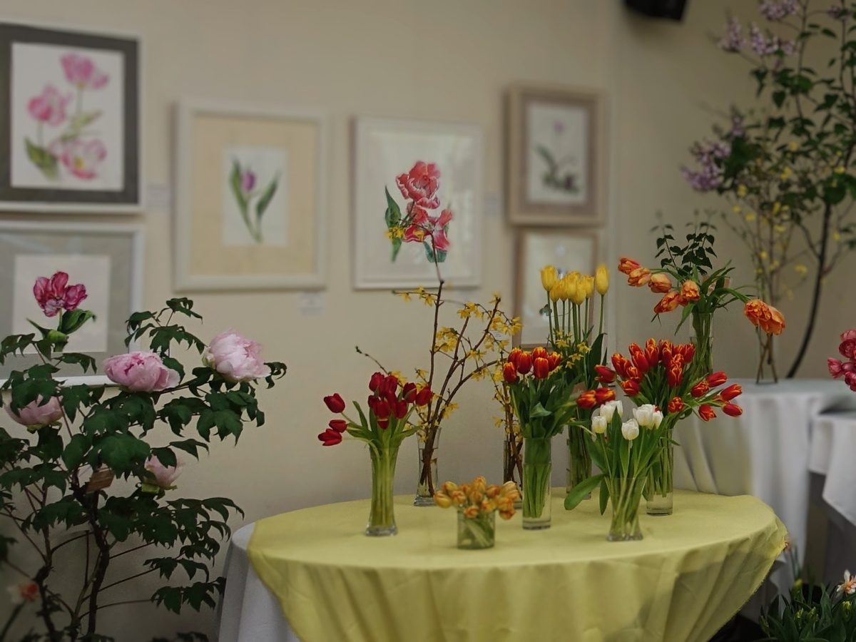 Куст слева - древовидный пион.