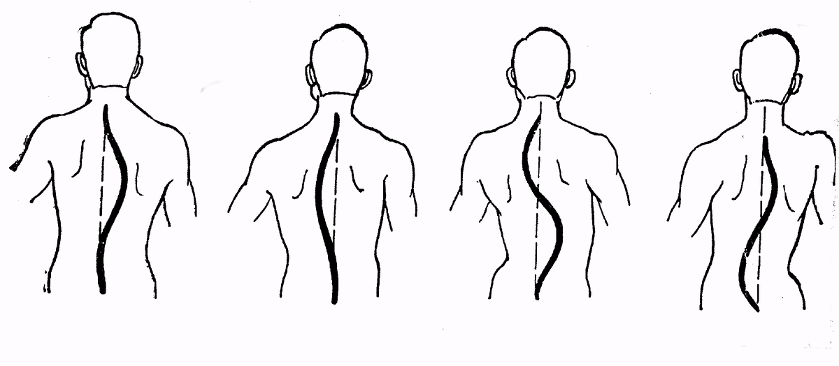 Изображение из свободных источников