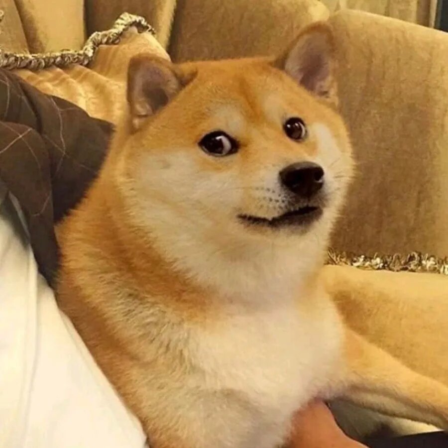 Источник: изображение взято в свободном доступе из интернета (Яндекс.Картинки).