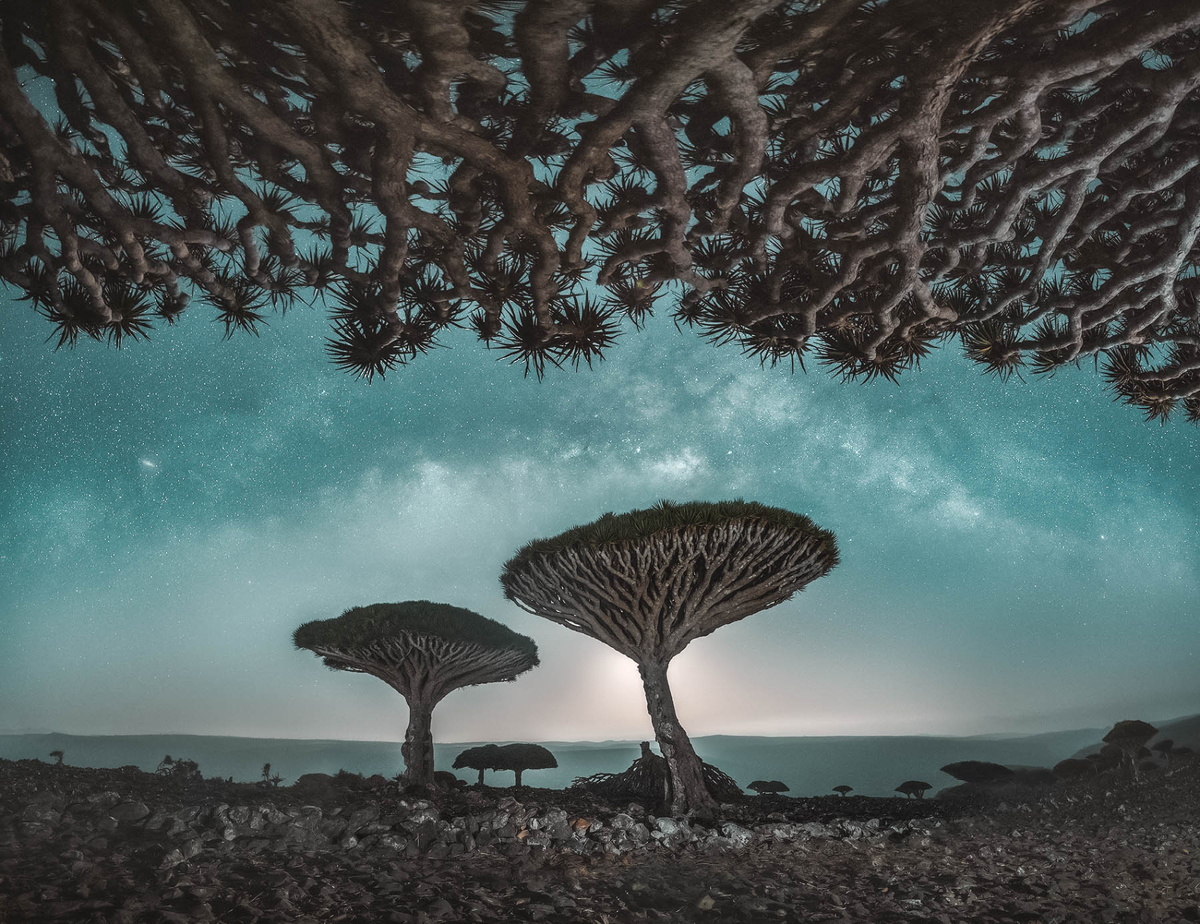 Источник: изображение взято в свободном доступе из интернета (Яндекс.Картинки).