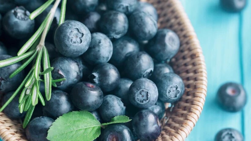 Источник: изображение взято в свободном доступе из интернета (Яндекс.Картинки).