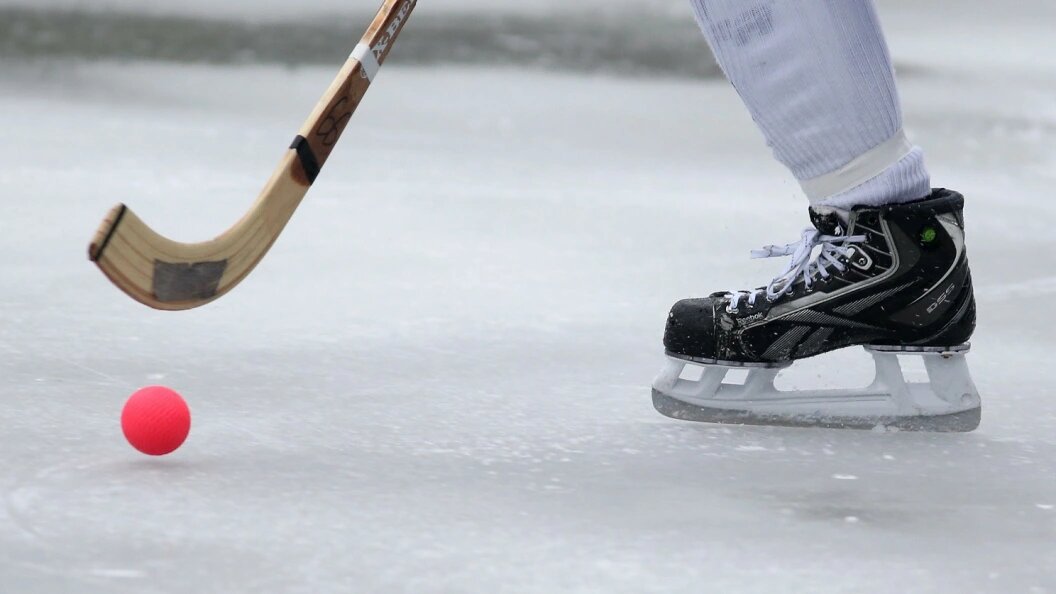    Dmitry Golubovich/Globallookpress