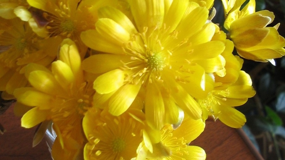     Источник: vostokmedia.com