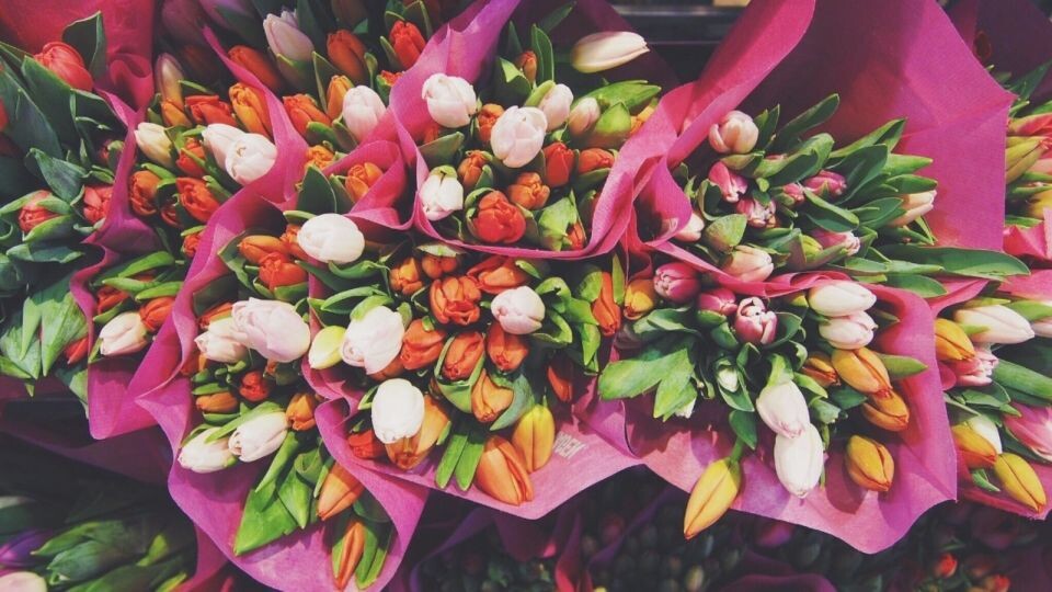    Международный женский день. Тюльпаны. Цветы. Источник: Фото: pixabay.com