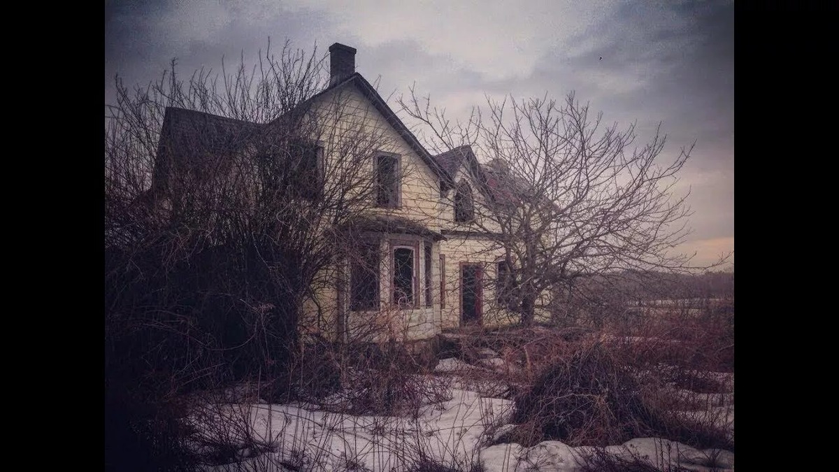 Изображение взято из открытых источников интернета. 