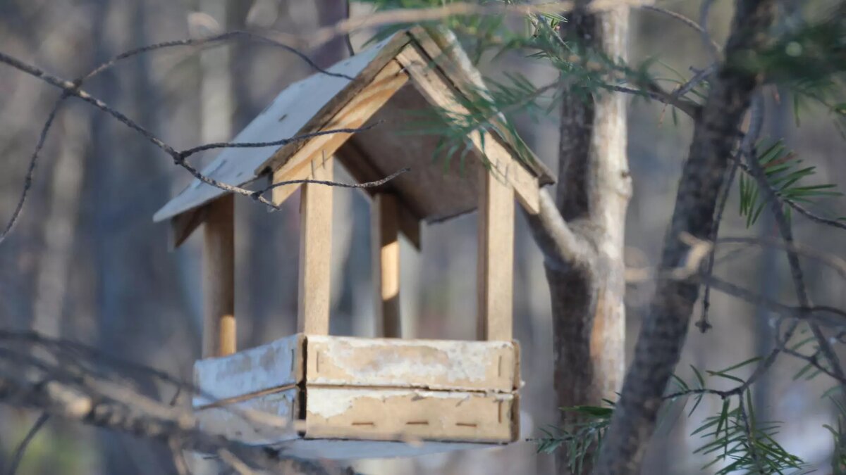     Источник: 1MI