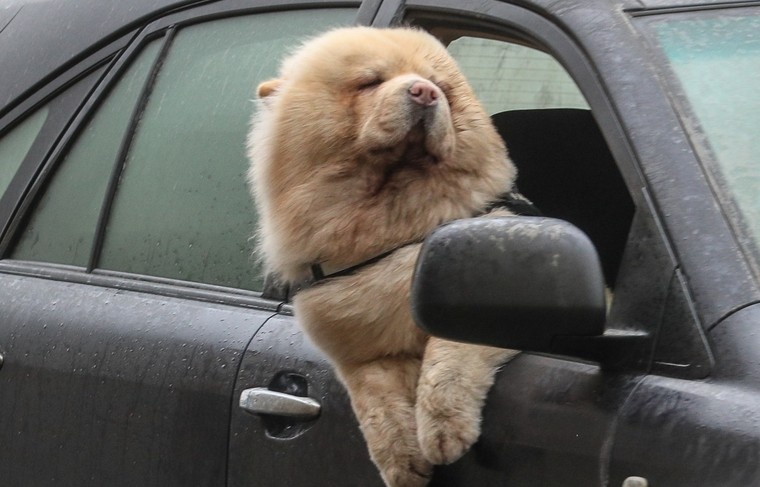    Сергей Булкин/NEWS.ru