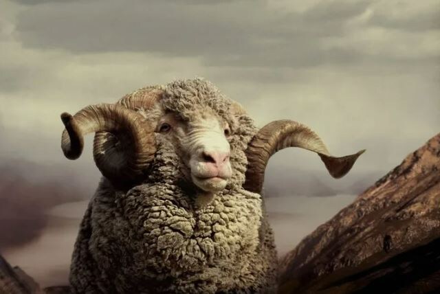 В качестве иллюстрации упёртости))