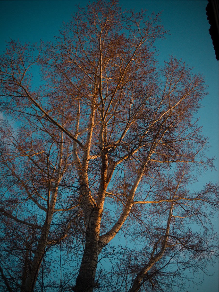 Canon Ixus 100is, обработка Raw и фрагменты кадра