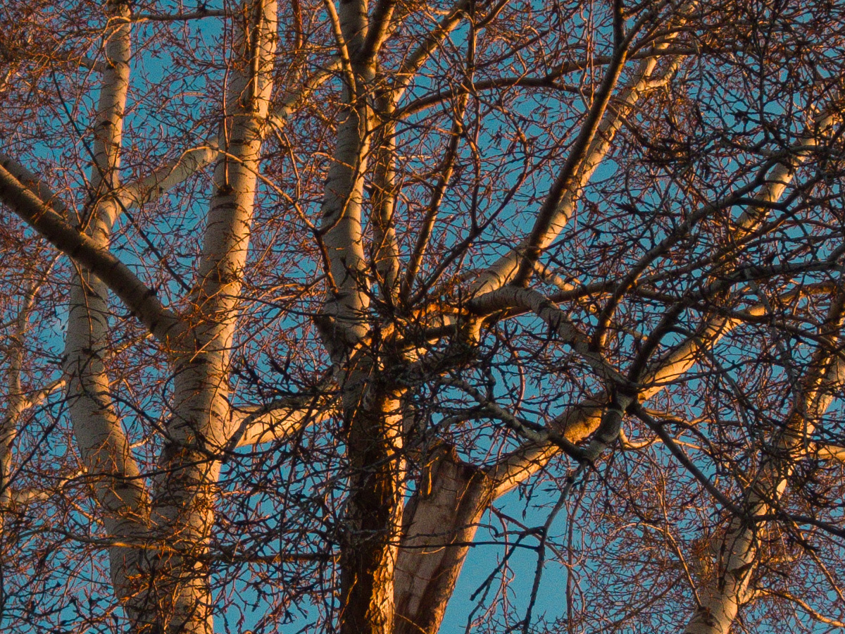 Canon Ixus 100is, обработка Raw и фрагменты кадра