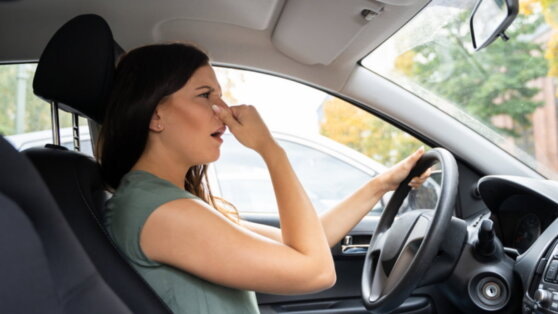    Что запрещено перевозить в салоне автомобиля, перечислила адвокат Андрей Галкин