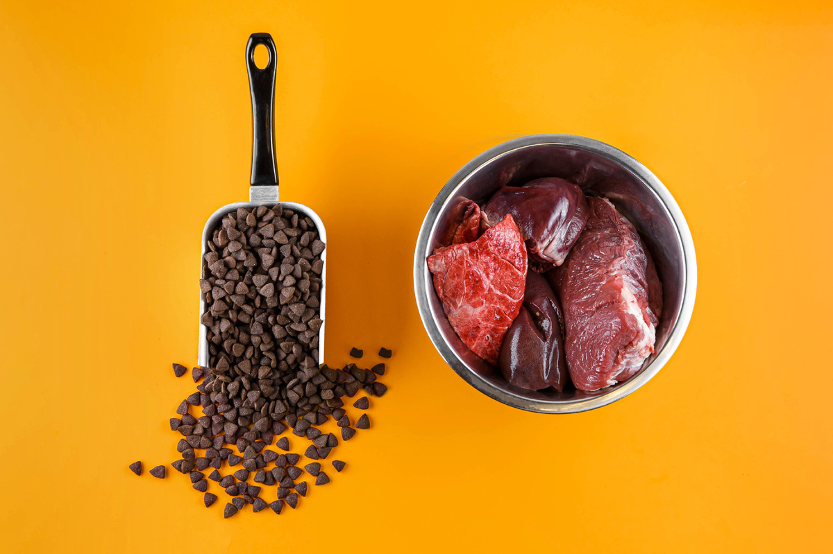 Сухой корм & натуральный корм