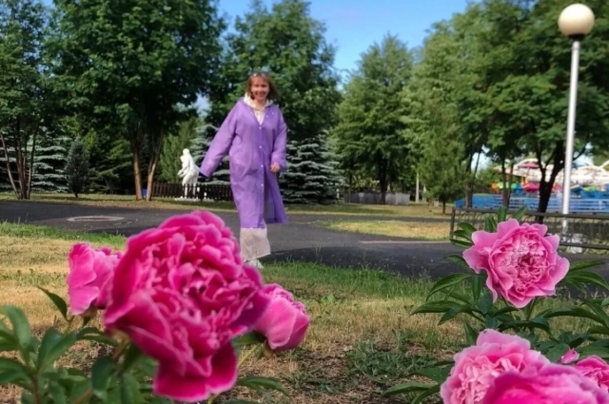    Кемеровчан приглашают высадить Аллею счастья из пионов в Парке Чудес
