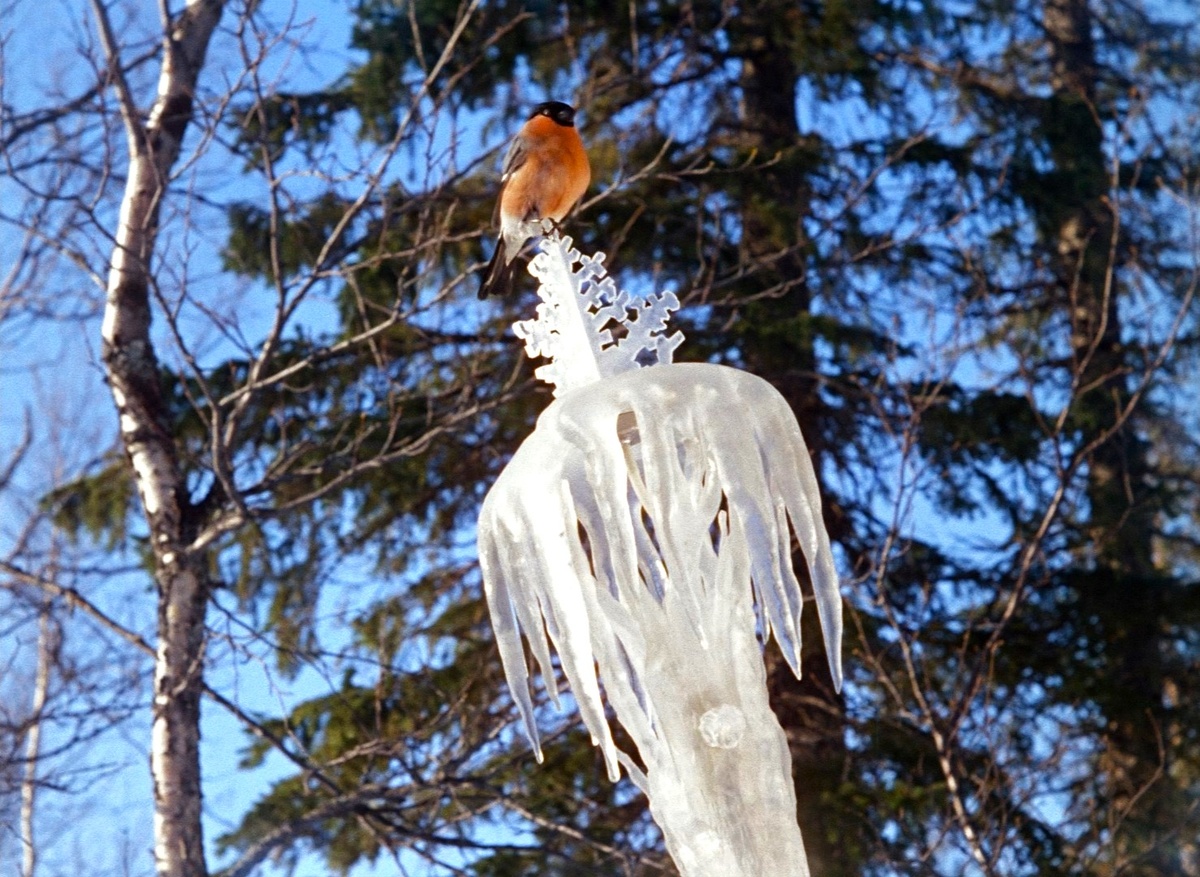 Кадр из к/ф «Морозко» (1964).
