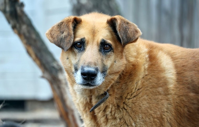    Сергей Петров/NEWS.ru