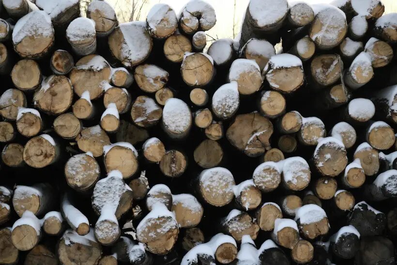     © РИА Новости. Александр Кряжев