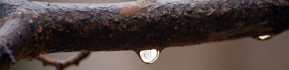    Фото: Сергей Егоров