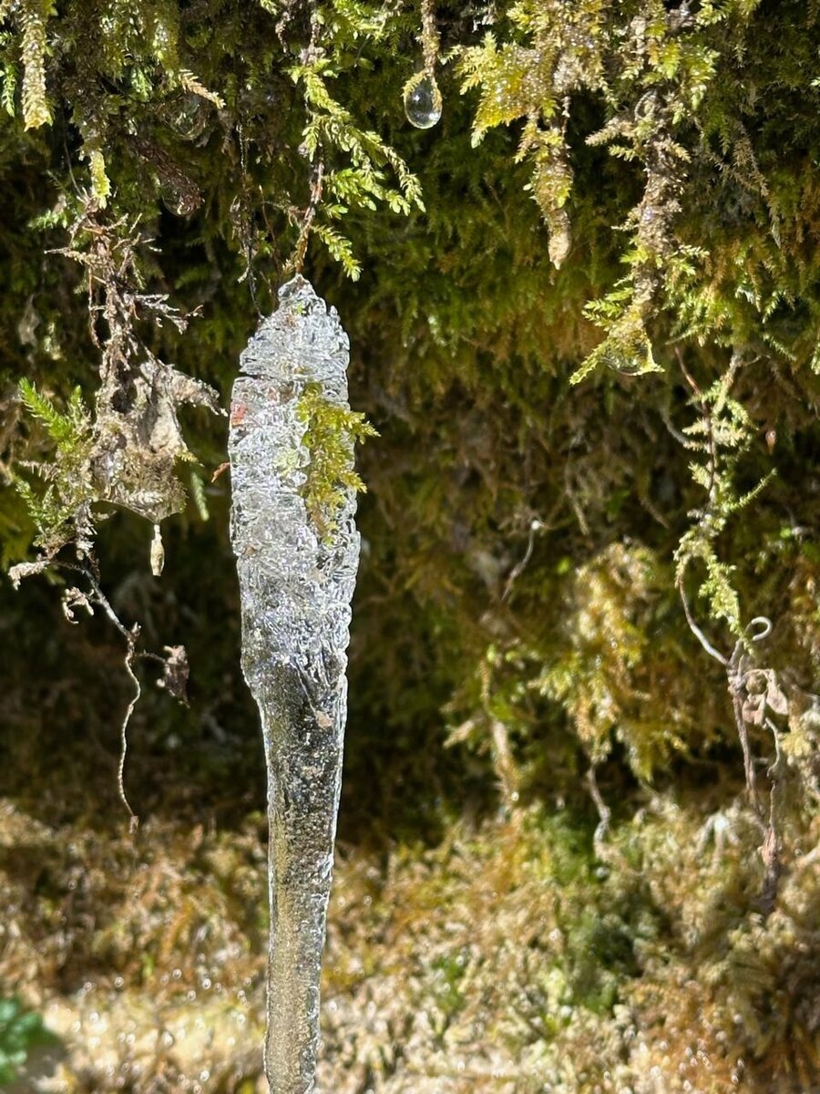 Автор фотографии - наша читательница Светлана-я