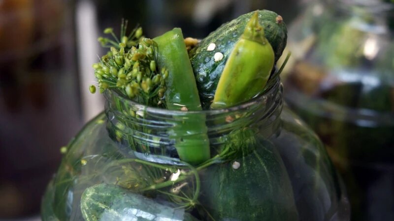     Соленые огурцы. УФСИН России по Алтайскому краю