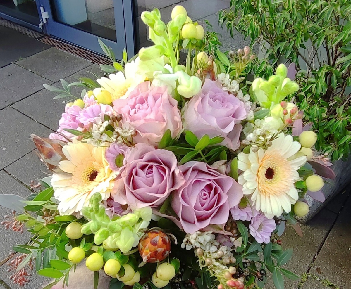 Фото из свободных источников интернета. 