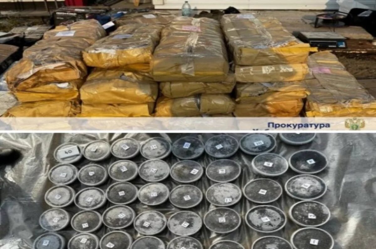    в Хабаровске судят контрабандистов из осетровой мафии