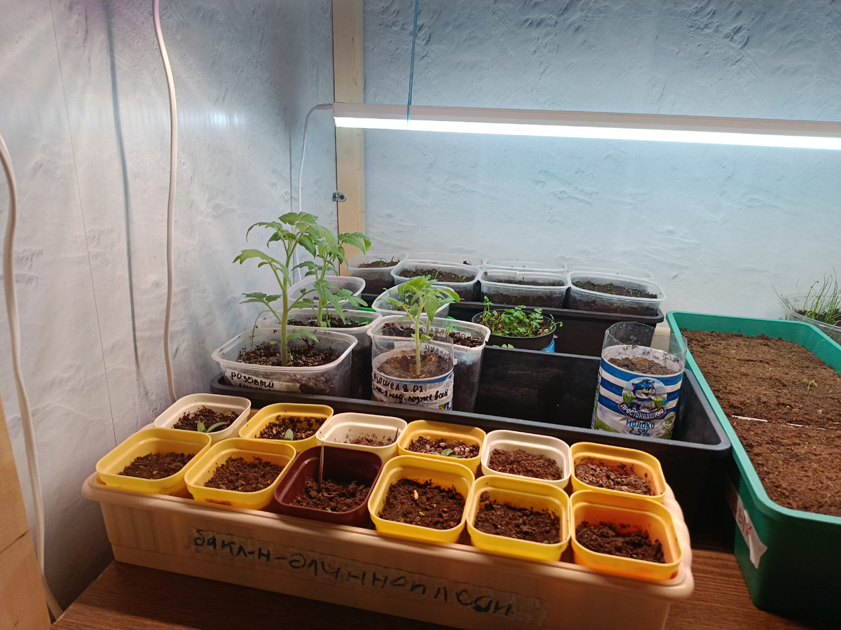 Собственный архив.