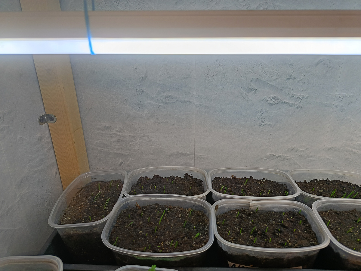 Собственный архив.