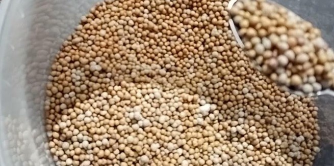 Фото: Яндекс Картинки