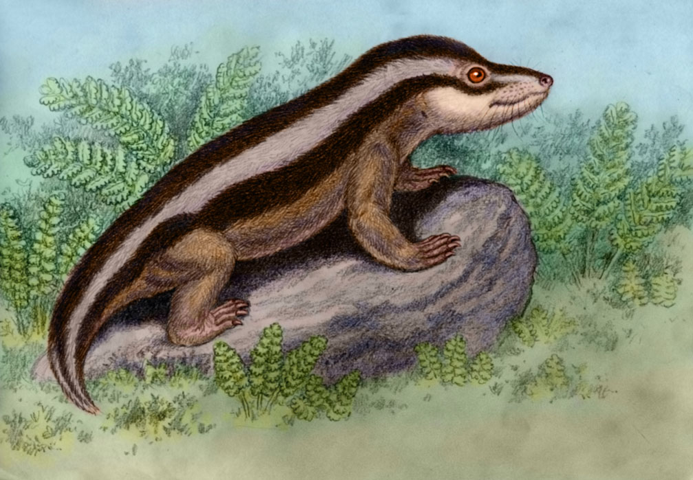 Двиния от WillemSvdMerwe