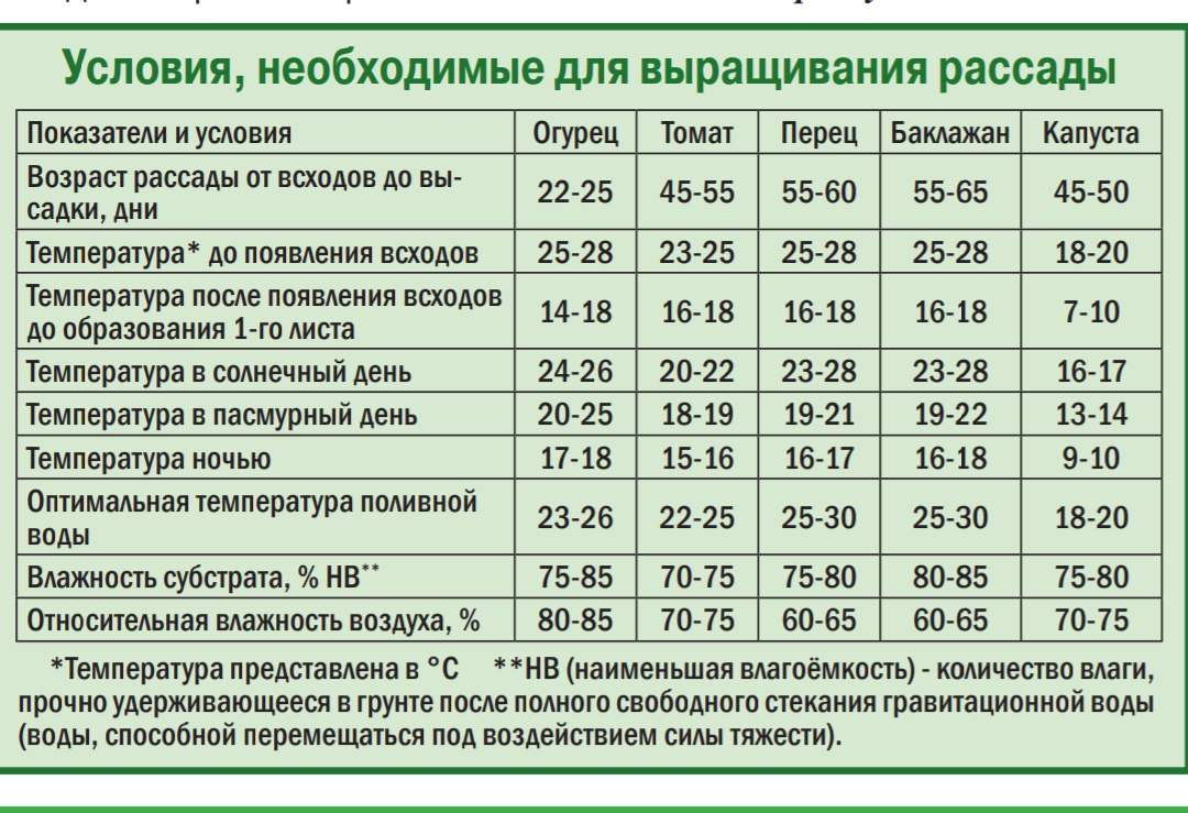 источник:https://izhevsk.ru